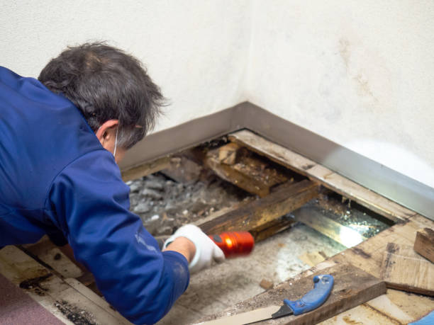 Water Damage Restoration in Weddington, NC