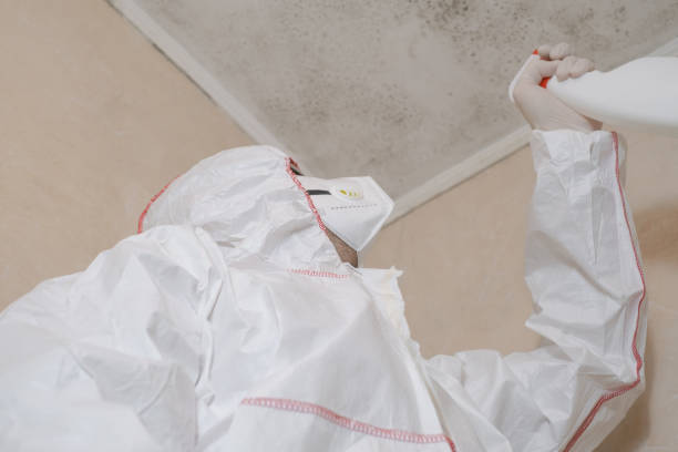 Best Certified Mold Removal  in Weddington, NC
